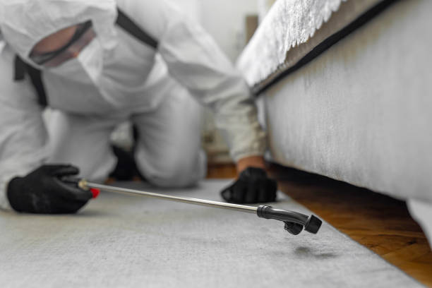 Professional Termite Control technician working in Riverwoods, IL