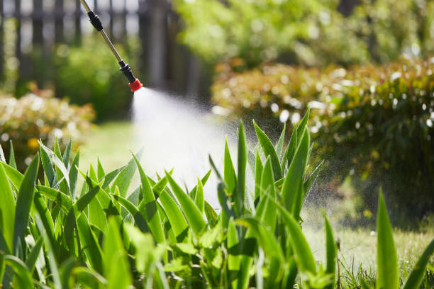 24/7 Emergency Termite Control experts in Riverwoods, IL