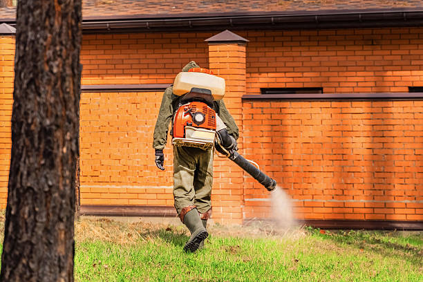 Trusted Termite Control service in Riverwoods, IL - Nex Pest Control